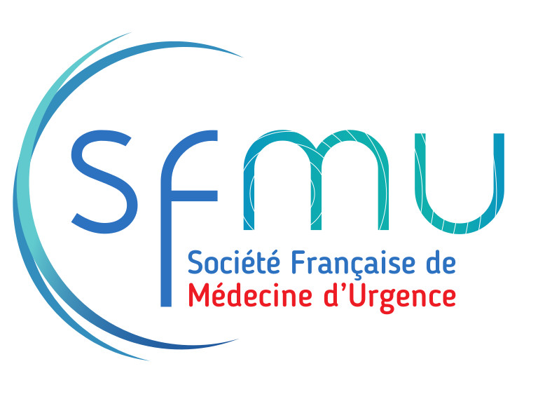 Commission SSE de la SFMU